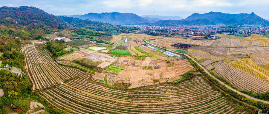 美麗新農村 