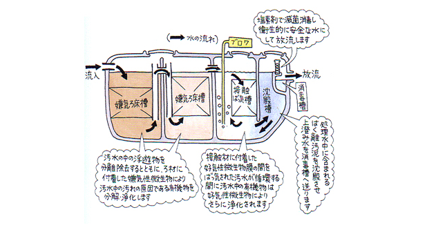 水處理黑客戶-凈化槽設備